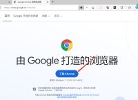 谷歌学术怎么能登进去-谷歌学术怎么能登进去网页