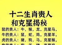 七数今期可三通打一肖-今期生肖七字开打一数字