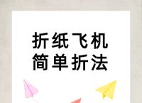 最火的六种纸飞机-最火的六种纸飞机是什么