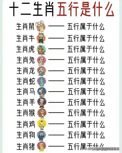 今期生肖是才人正确答案-今期生肖最简单代表什么数字