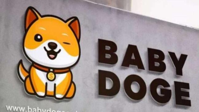 babydoge发行量-babydoge币是谁发行的