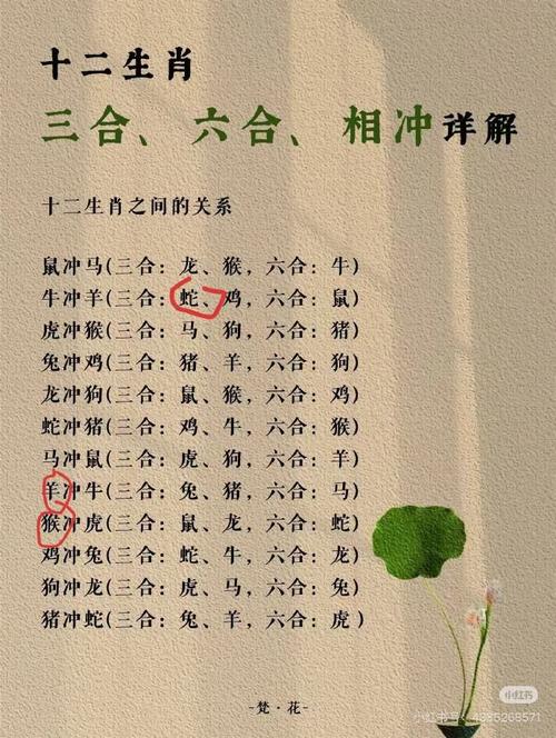 今期生肖二五头打一正确生肖动物-今期生肖二五八,有三有四能发家,富贵得来龙凤配