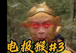 电报员猴哥原视频-电报猴子骂人原视频